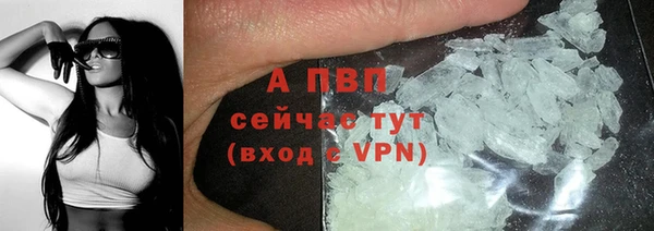 молекула духа Нефтекумск