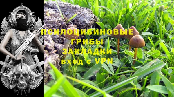 молекула духа Нефтекумск