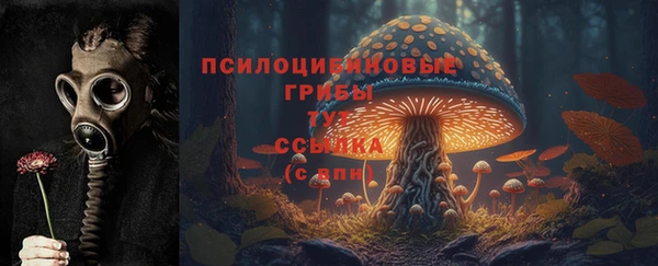 молекула духа Нефтекумск